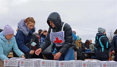 ICRC Reports Over 240,000 Missing in Ukraine Conflict, Search Efforts Intensify