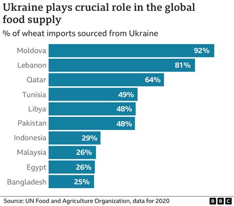 Ukraine Faces $2 Billion Agricultural Export Losses as Ports Remain Closed
