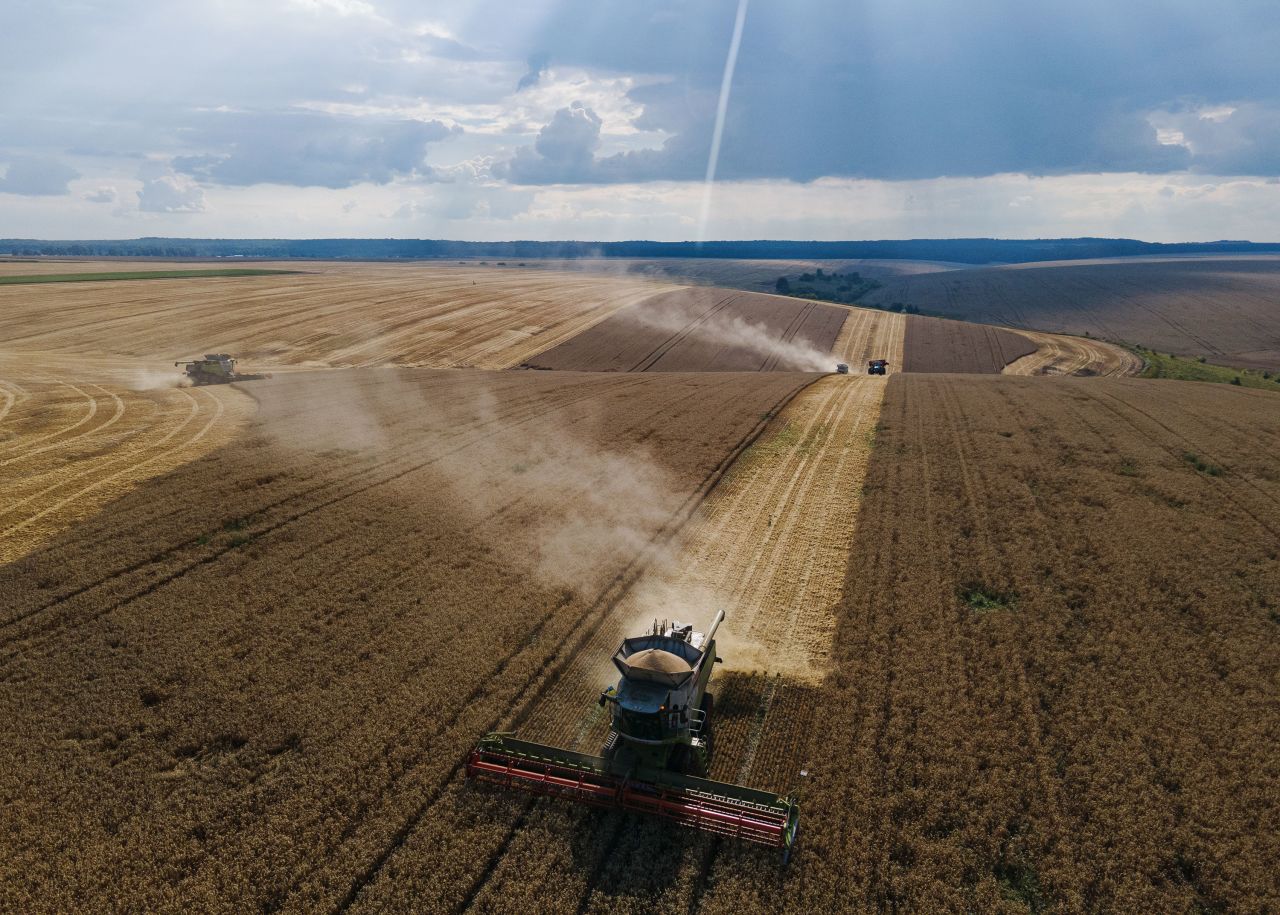 Ukraine’s Agricultural Crisis Deepens as Port Blockade Halts Critical Harvest Sales